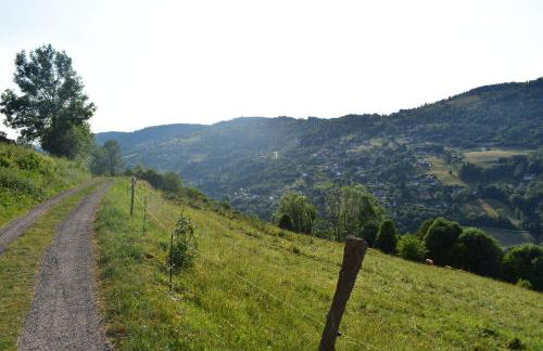 Gîtes de Moyenmont - Foto 43