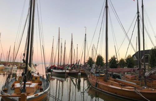 Rosenhaus Nähe Bodden und Ostsee an den Kranichfeldern - Foto 20