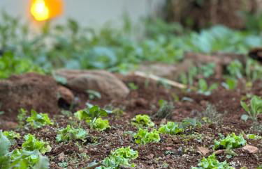 Moradia Abreu - Foto 25