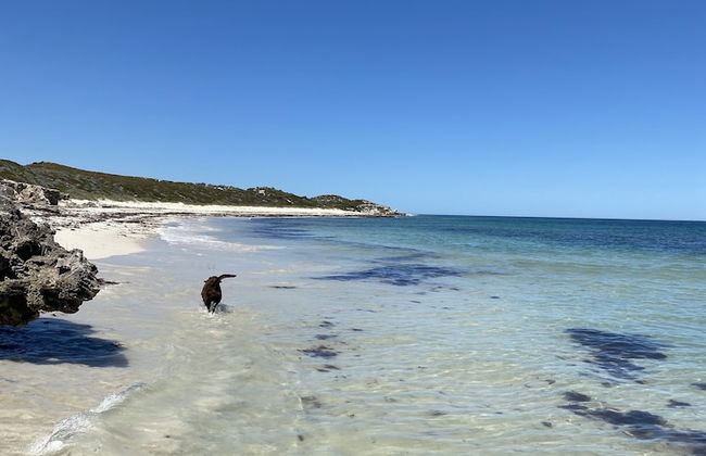 Lands Edge - Photo 34