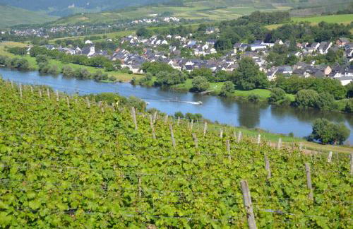 Weingut Mathy-Schanz - Foto 16