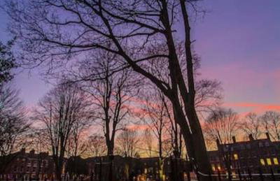 Large 2 Bedroom City Centre Apartment + Parking - Photo 23