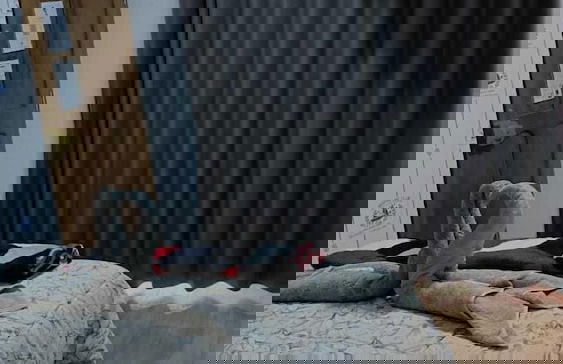 Departamentos Appart d'Eliette - Foto 12