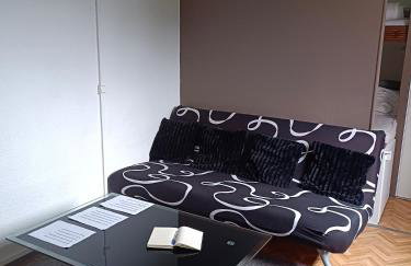 Les myrtilles La Pierre Saint Martin - Foto 30