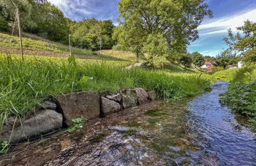 Gläserberg - Foto 15