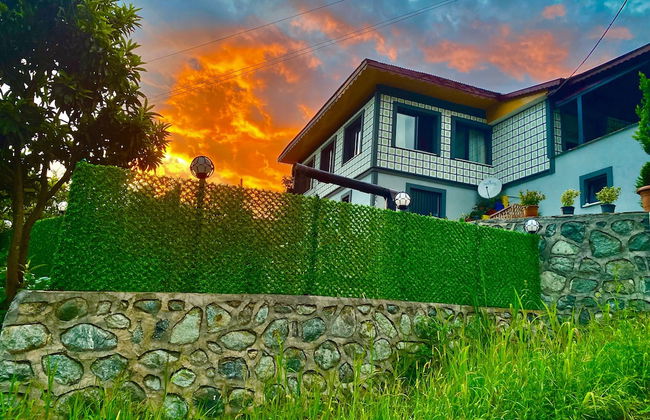 Rino Hauss - Photo 1