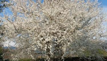 Appartamento Oliver - Foto 2