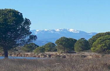 Charmante maison à Le Barcarès - Foto 15