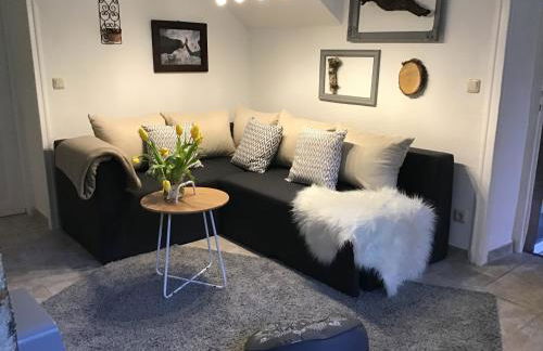 Wildblick Appartment Hof Grindelborn - Foto 17