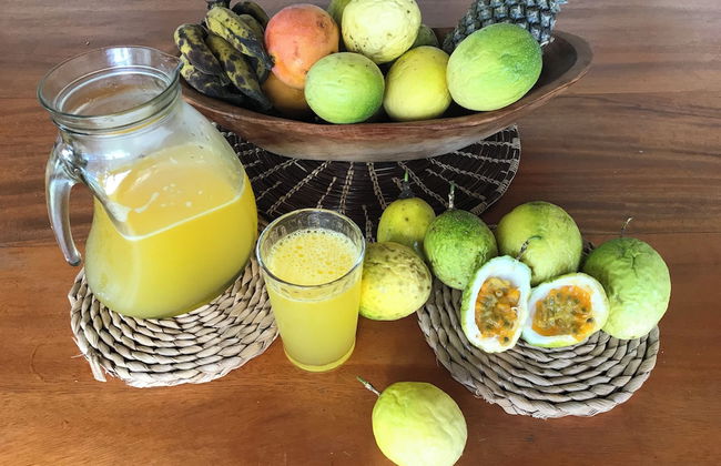 Fazenda Eco Jardim - Foto 30