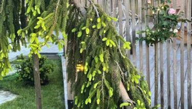 Storm Cottage in the Countryside - Foto 4