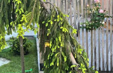 Storm Cottage in the Countryside - Foto 4