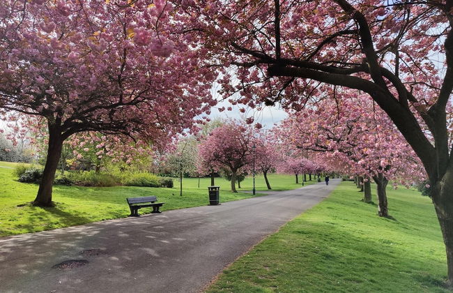 NEW Fabulous 2BD Maisonette Dunfermline, Fife - Foto 18