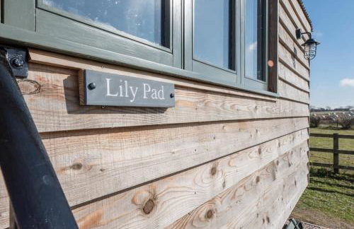 Lily Pad, Friston - Foto 10