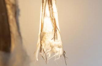 Nido di Gemma - Foto 24