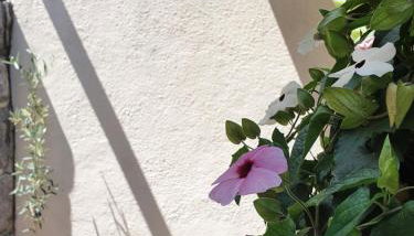 Holiday Home Demark - Foto 4