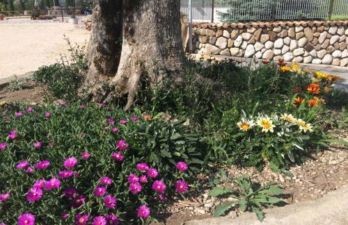 Agriturismo I Tre Ulivi - Foto 81