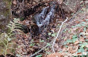 Casa Rural: La Casa Mágica de Gredos - Foto 70