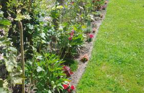 Hory Opawskie - Foto 29