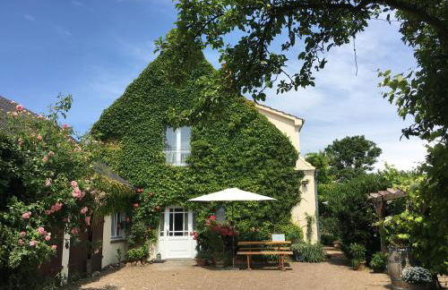 Landhaus am Deich - Foto 14