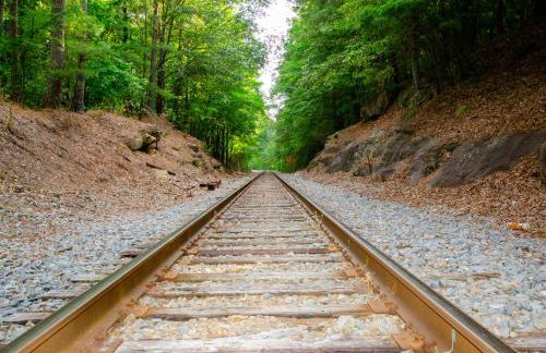 Private 1 Acre Retreat, Spa, Firepit, Gym, Chickens, King Suite, Pets - Foto 25