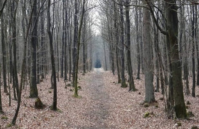 Luxury Retreat With Spa - By Traum Ferienwohnungen - Foto 26