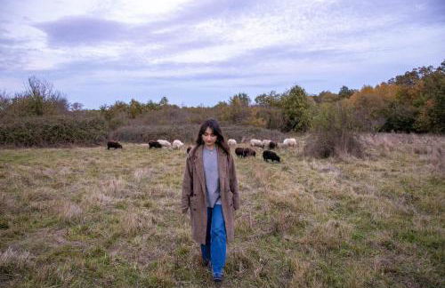 Parcel Tiny House - 20 minutes from Beauval Zoo - Foto 14