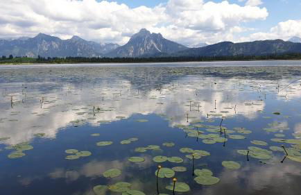 Landhaus Amberg Hopfen am See // Hopfensee // Füssen - Foto 44