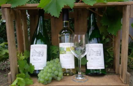 Ferienhof Ott im Rothenburger Land - Foto 20