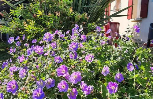 Gite climatisé L'Orée des Landes Proche Center Parcs - Foto 20