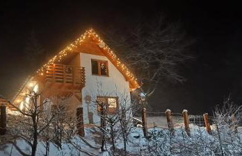 Domek Pod Lasem - Foto 1