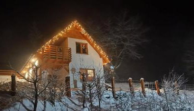 Domek Pod Lasem - Foto 1