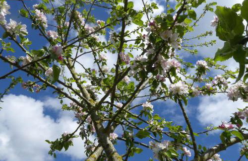 Erholung auf dem Land zwischen Ostsee und Schlei - Foto 32