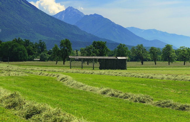 Beautiful Apartment in Bled Near Lake - Foto 15