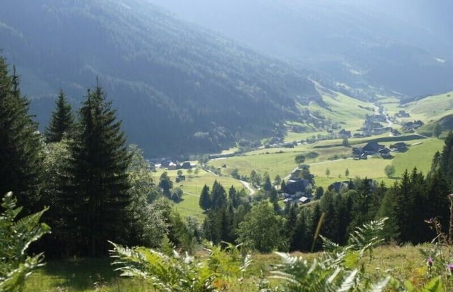 Biobauernhof Spieszschweiger - Foto 22