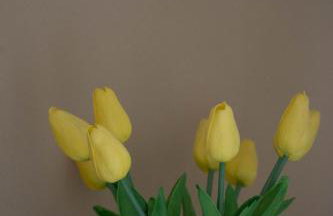 BLACK DIAMOND Apartment - Foto 31