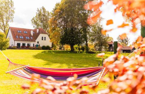 Stara Szkoła Browina - Foto 27