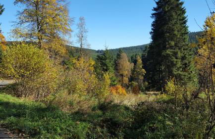 Ferienhaus Bergidylle - Photo 52