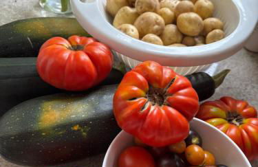 Boston Studio Apartment with Parking, next to Train or Buses, good Neighborhood - Foto 27