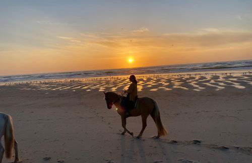 Bleu Océan - Foto 26