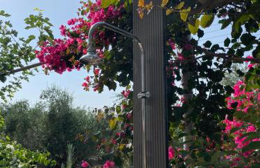 Lagouvardos Beach House - Foto 57