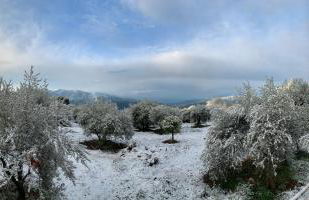 Finca Las Fuentezuelas - Foto 17