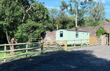 Shepherds Hut with Hot Tub - Foto 16