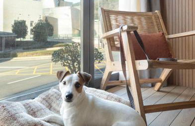 Apartamentos Líbere Bilbao Museo - Foto 24