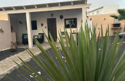 Mardelava - Photo 19