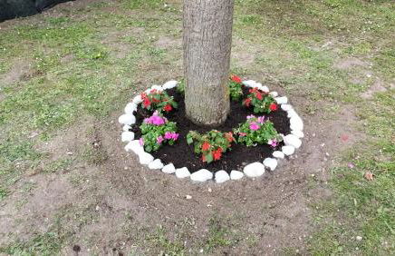 La casa dei ricordi - Foto 31