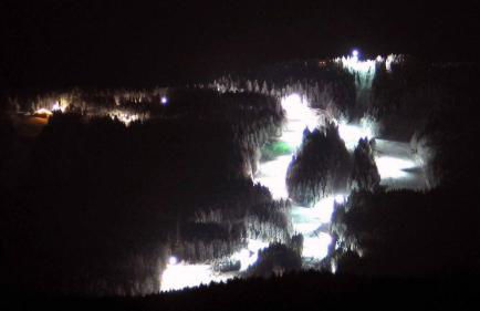 Gasthof Zum Wirt Ferienwohnung Hohenbogenblick - Foto 38