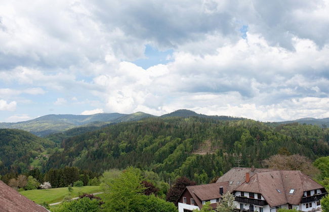 Apartment in Sallneck Near Nonnenmattweiher Lake - Foto 32