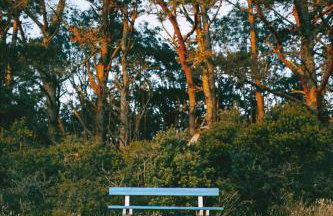 Maisons Bodenn - Lesconil - Foto 16