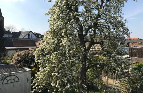 Ferienwohnung Käthe - Foto 14